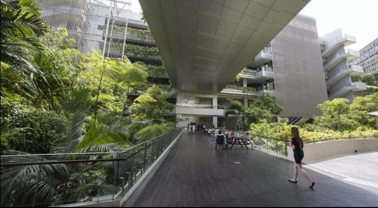 Keller Award, Stephen R. Kellert Award, Living Building Challenge, Biophilic Design, Singapore