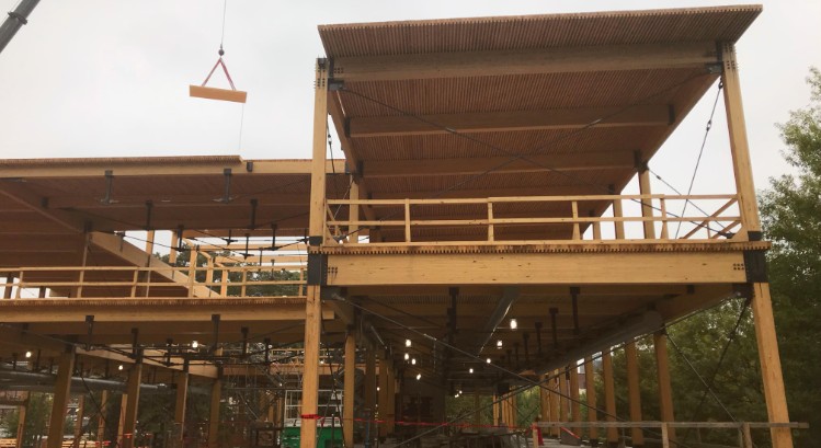 mass timber rising, mass timber, 5 green building trends