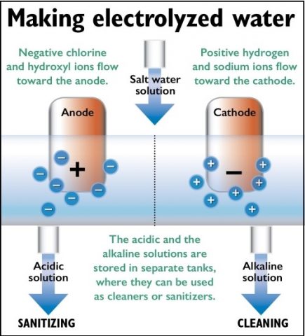 hypochlorous acid